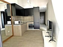 Grandeur Park Residences (D16), Condominium #453343491